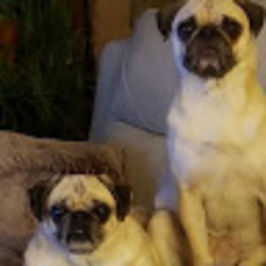 Meet your Posher, Lula